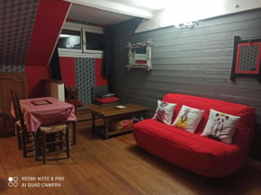 PETIT APPARTEMENT 30M2, 3 lits, 3 à 4 pers